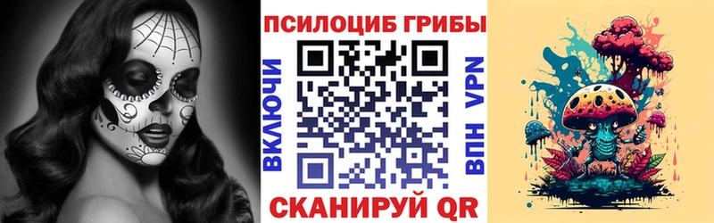 Псилоцибиновые грибы GOLDEN TEACHER  закладка  Черноголовка 